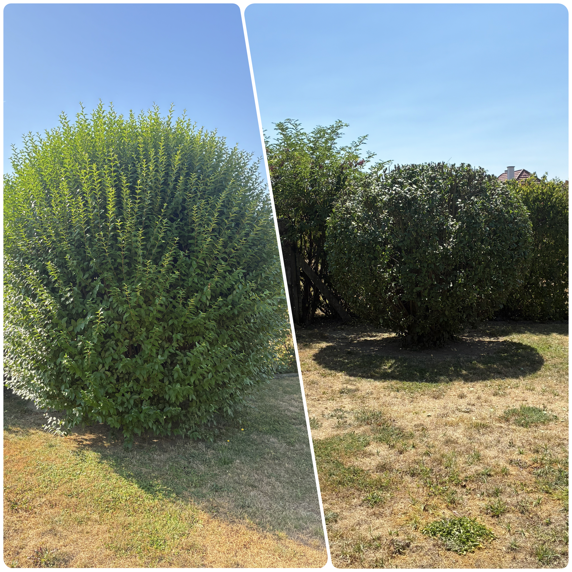 Gartenarbeit